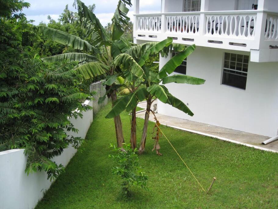 Selen'S Apartment In Ti Rocher Micoud Saint Lucia ภายนอก รูปภาพ